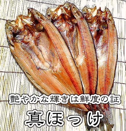 ���̂̂����J���ق���