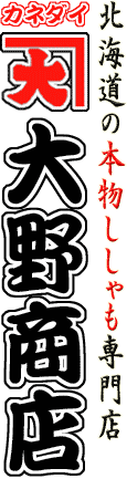 �k�C���@�{����������X�@�J�l�_�C��쏤�X