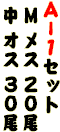 �`�[�P�Z�b�g
 �l ���X �Q�O��
 �� �I�X �R�O��