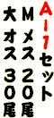�`�[�P�Z�b�g
 �l ���X �Q�O��
 �� �I�X �R�O��