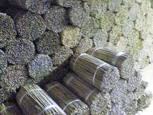 沢山集めてもすぐになくなってしまいます